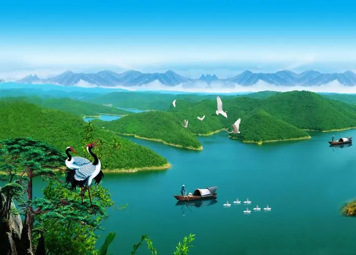 高质量全自动